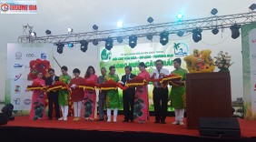 Bến Tre : Tuần lễ Văn hóa – Du lịch huyện Châu Thành năm 2017 khai màn