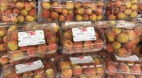 Nông sản việt: Lấy thương hiệu làm ’giấy thông hành”