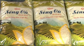 Kết nối nông sản an toàn 3 tỉnh Lào Cai, Yên Bái, Điện Biên tại Hà Nội