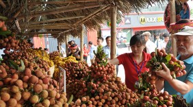 Bắc Giang: Đưa sản phẩm thế mạnh xuất ngoại