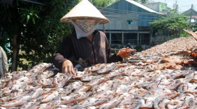 Đặc sản cá khô tất bật vào Tết