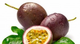Hành trình đưa chanh leo tím Việt Nam xuất ngoại