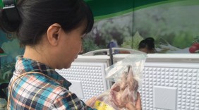 Gà núi, tôm sinh thái...hội tụ ở phiên chợ nông sản thực phẩm an toàn