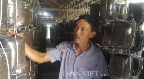Làm giàu ở nông thôn: Kiếm hơn nửa tỷ từ trồng nấm sạch