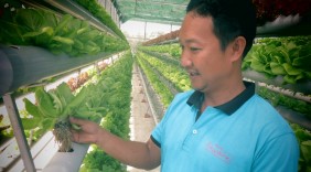 Khởi nghiệp thành công từ chọn mô hình rau thủy canh để