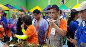 Du khách Mỹ mê mẩn sâm Ngọc Linh