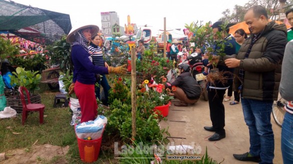 Nam Định: Nhộn nhịp Hội chợ Xuân Liễu Đề