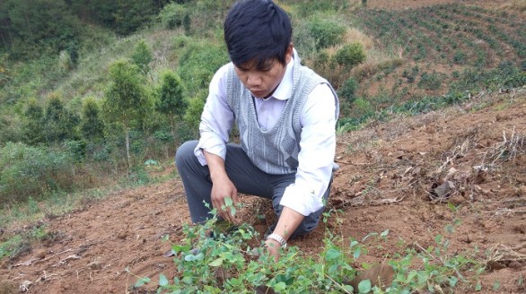 Kiếm tiền trên đất cằn