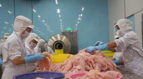 Xuất khẩu lúa gạo và thủy sản vùng đồng bằng sông Cửu Long tăng mạnh
