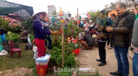 Nam Định: Nhộn nhịp Hội chợ Xuân Liễu Đề