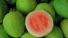 Công dụng bất ngờ của trái ổi khi bạn ăn đúng cách