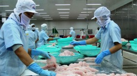 Xuất khẩu cá tra sang thị trường Anh tăng mạnh