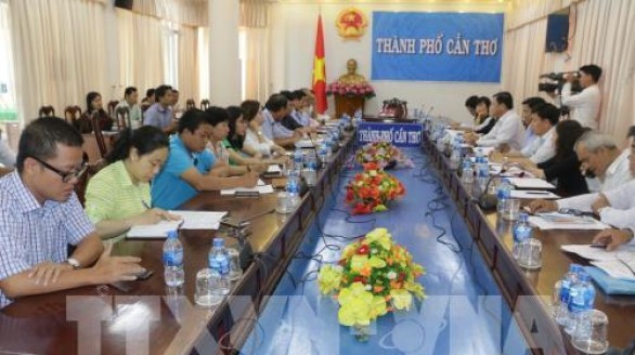 Cần Thơ liên kết doanh nghiệp để xuất khẩu cây ăn trái