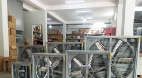 Thị trường quạt công nghiệp: Hàng Việt Nam chiếm ưu thế