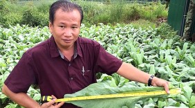 Khởi nghiệp ở tuổi 50 với cây bồ công anh