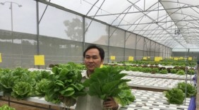 Nhà trồng nấm tự động giúp sinh lời qua hai mùa vụ