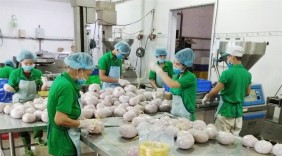 Chả sạch Năm Thụy được thị trường đánh giá cao