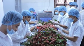 Để hàng Việt tiến sâu vào thị trường quốc tế