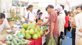 Mở rộng thị trường xuất khẩu