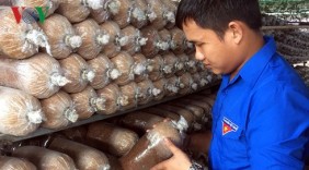 9X khởi nghiệp thành công từ trang trại nấm