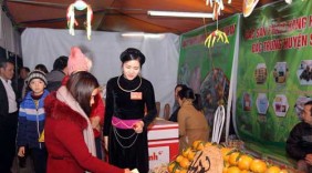 Lập nghiệp thành công từ về quê trồng cam