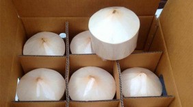 Xuất khẩu trái dừa tươi sang Mỹ