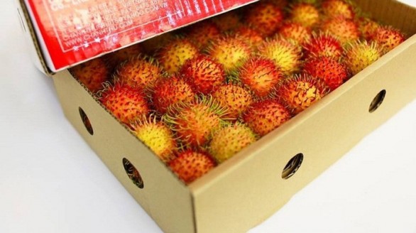 Chôm chôm Việt Nam rộng đường sang New Zealand