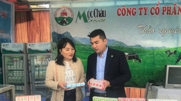 Mộc Châu: Chè thanh sạch, sữa mát lành