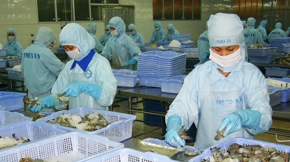 Tín hiệu mừng cho tôm và cá tra