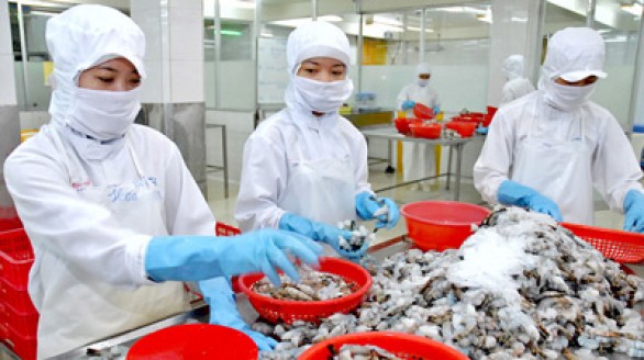 Sắp diễn ra Hội chợ triển lãm công nghệ ngành tôm Việt Nam