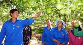 Mô hình thanh niên khởi nghiệp ở Ninh Thuận
