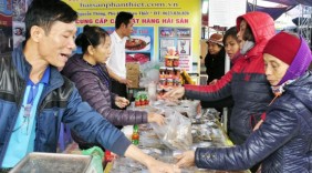 Hàng Việt về nông thôn: Cần chính sách giá phù hợp
