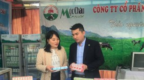 Mộc Châu: Chè thanh sạch, sữa mát lành