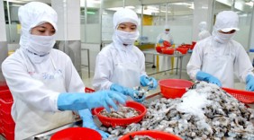 Sắp diễn ra Hội chợ triển lãm công nghệ ngành tôm Việt Nam
