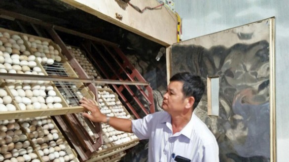 Nhà nông Nguyễn Duy Lành vượt khó khởi nghiệp