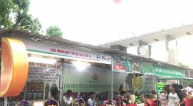 Khai mạc Hội chợ Xúc tiến thương mại cho các hợp tác xã năm 2018