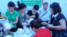 Đẩy mạnh xúc tiến hàng nông sản