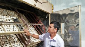 Nhà nông Nguyễn Duy Lành vượt khó khởi nghiệp