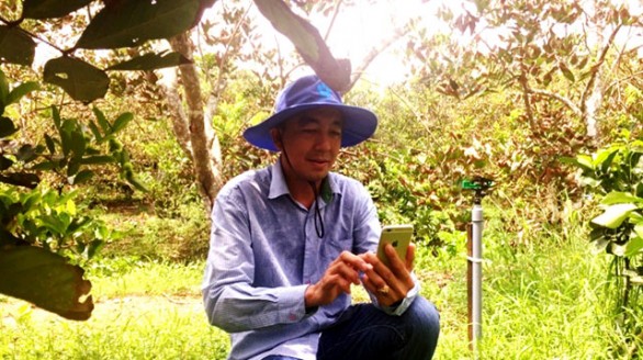 Nông dân 4.0 ngồi rung đùi,