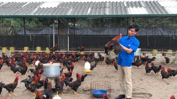 Hành trình khởi nghiệp thành công của