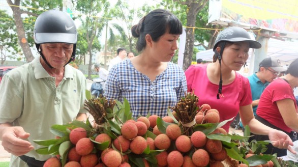 5 tấn vải thiều Thanh Hà