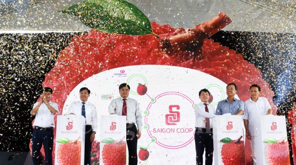 Saigon Co.op cam kết tiêu thụ 400 tấn vải thiều cho tỉnh Bắc Giang và Hải Dương