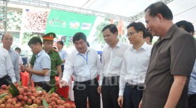 Vải thiều Thanh Hà: Đột phá trong xúc tiến thương mại, tiêu thụ