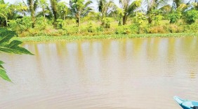Làm giàu thành công nhờ nuôi cá 
