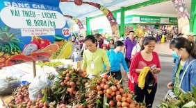 Vải thiều được mùa giá tốt, siêu thị tăng xuất khẩu