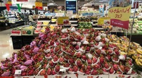 Hàng Việt Nam được tiêu thụ mạnh tại hệ thống siêu thị AEON (Nhật Bản)