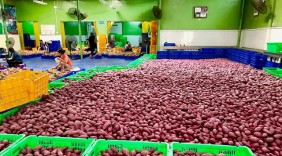 Hơn 100 tấn nông sản Việt đã xuất khẩu sang Thái Lan
