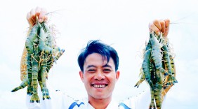 Khởi nghiệp nuôi tôm sạch từ... phòng trọ