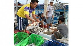 Nông thủy sản rộng cửa vào thị trường Úc