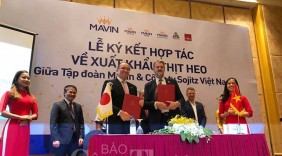 Lô hàng thịt heo đầu tiên đã chính thức được xuất ngoại